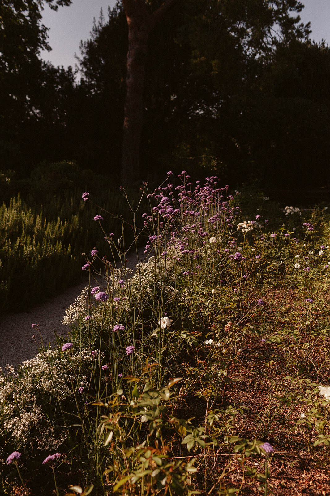 Mariage au Galinier de Lourmarin - Jennifer + Matt - Blog Mariage Madame C