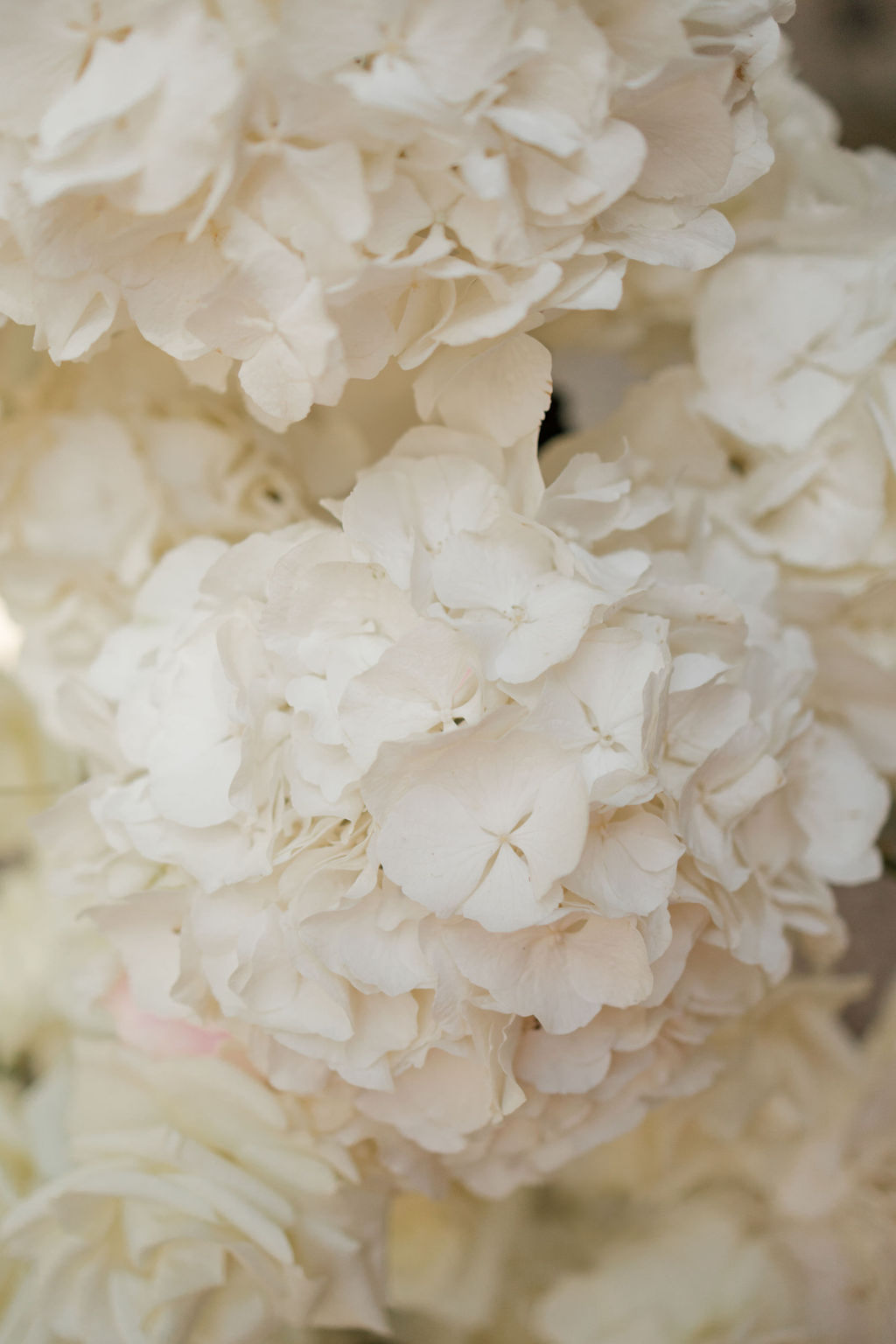 Mariage en Normandie à l'Abbaye Notre-Dame de Fontaine-Guérard - Charline + Florian - Blog Mariage Madame C